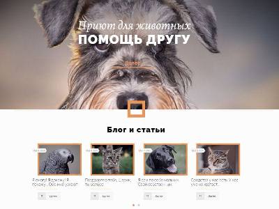Сайт приюта для животных